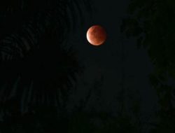 Gerhana Bulan Total Akan Terjadi Selasa 8 November, BMKG: Waspada Air Laut Pasang