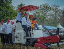 Menteri Pertanian Lakukan Kunjungan Kerja dan Panen Padi di Sigi