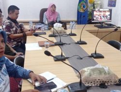 Kementrian PANRB Gelar Rakor Secara Virtual Pembinaan Dalam Jabatan Fungsional