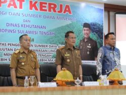 Kadis ESDM Dan Dishut Harap Pemda Beri Kemudahan Investor Dan Pelaku Usaha Berinvestasi Di Sulteng