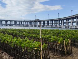 Program Beautifikasi dan Landscaping Jalan Tol, Menteri Basuki Minta BUJT Selesaikan Maret 2023