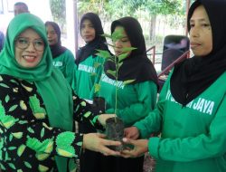 Dinas Ketapang Gelar Gerakan Tanam Cabai, Ajak Masyarakat Berperan Aktif