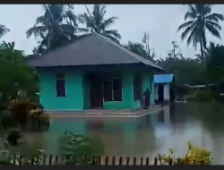 Sebanyak 200 unit rumah terendam banjir di Donggala
