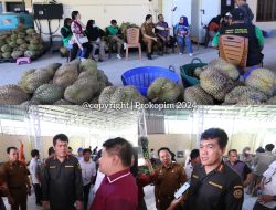 Kabarantin Sahat M. Panggabean Kunjungi Rumah Produksi Durian Parimo