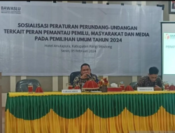 Bawaslu Sulteng: Perlu diBentuk Lembaga Pemantau Pemilu