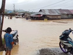 BPBD: Empat kecamatan di Kabupaten Buol Terendam Banjir