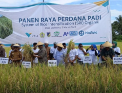 Pemkab Sigi Siapkan Desa Jadi kampung Organik Penghasil Beras