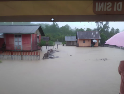 Dua Rumah Hanyut Terseret Banjir di Kabupaten Buol