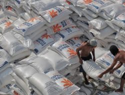 Pemerintah Bakal Impor Total 3 Juta Ton Beras Tahun ini