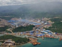 Sulawesi Tengah Mampu Sumbang kan Emas 2,32 Persen,Ini 5 Perusahaan yang Menaunginya