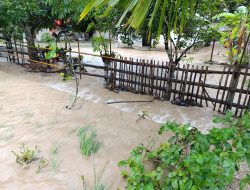 Dua Desa di Parigi Moutong Diterjang Banjir
