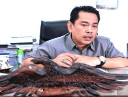 Salah Transfusi Darah, iqbal Andi Magga : Pihak Rumah Sakit Harus Bertanggung jawab