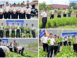 Lapas Kelas III Parigi Sukses Panen Kangkung dan Pakcoy, Hasilnya Disalurkan untuk Korban Bencana