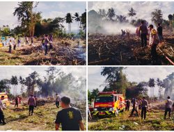 Kobaran Api Guncang Pemakaman Baliara, Polisi Duga Puntung Rokok Jadi Pemicu