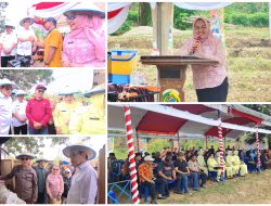 Kejaksaan dan Pemda Parigi Moutong Perkuat Ketahanan Pangan Lewat Program Jaksa Mandiri