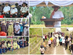 Kolaborasi Kejati–Pemkab Parigi Moutong Perkuat Ketahanan Pangan, Produksi Jagung Tembus 45 Ribu Ton