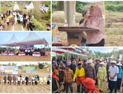 Desa Lobu Mandiri Disiapkan Jadi Percontohan Pertanian Jagung Berkelanjutan