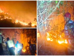 Karhutla Mengganas di Kasimbar, Api Menjalar Cepat Diterpa Angin Kencang