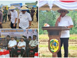 Pemkab Parigi Moutong Perketat Pencegahan Karhutla, 147 Hektare Lahan Terdampak