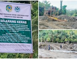 Aktivitas Tambang Ilegal Tombi Ancam Kawasan HPT, KPH Siap Laporkan ke Gakum Jika Terbukti Masuk Hutan