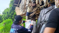 Mayat Tanpa Identitas Ditemukan Tergantung, Polisi Amankan Barang Bukti di TKP