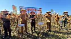 Kajati Sulteng Panen Jagung di Parigi Moutong, Tegaskan Komitmen Dukung Swasembada Pangan Nasional