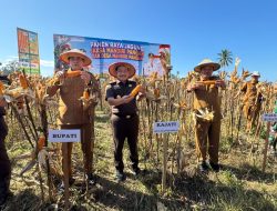 Kajati Sulteng Panen Jagung di Parigi Moutong, Tegaskan Komitmen Dukung Swasembada Pangan Nasional