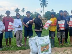 Petani Lobu Mandiri Terima Bantuan Bibit Jagung dari LMP Parigi Moutong