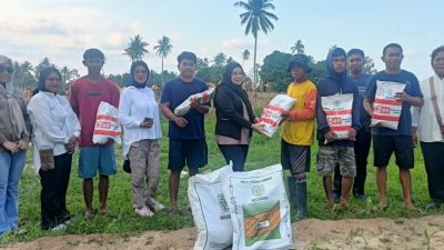 Petani Lobu Mandiri Terima Bantuan Bibit Jagung dari LMP Parigi Moutong