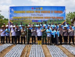 DPRD Sulteng Dorong Gerakan Penanaman Bawang Putih Tak Berhenti Seremoni